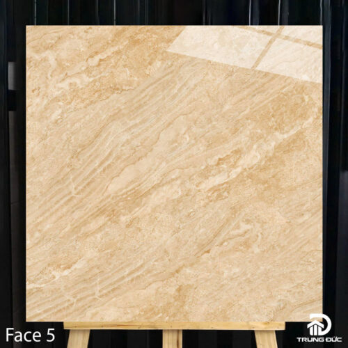 Gạch 100x100 cm Catalan 10003 face 5