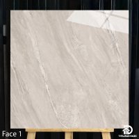 Gạch 100x100cm Catalan 10006 màu xám nhẹ