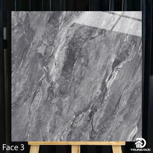 Gạch 100x100 cm Catalan 10008 face 3