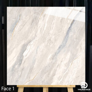 Gạch 100x100 cm Catalan 10010