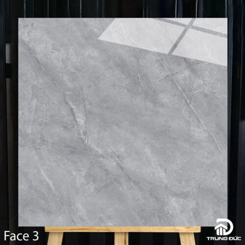 Gạch 100x100 Catalan 10011 face 3