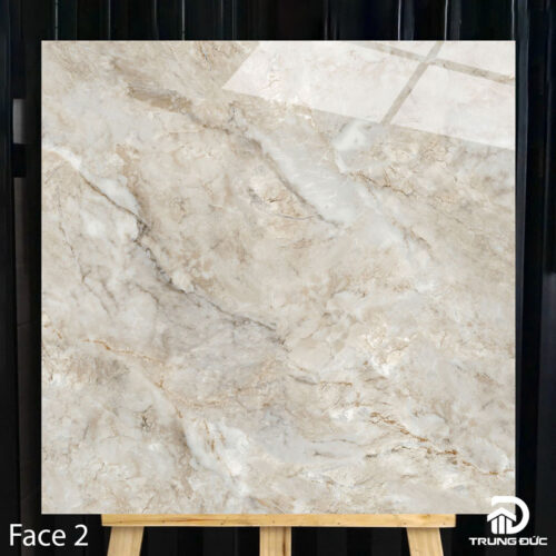 Gạch 100x100cm Catalan 10012 face 2
