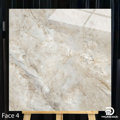 Gạch 100x100cm Catalan 10012 face 4