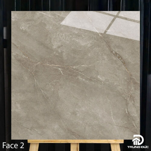 Gạch 100x100cm Catalan 10017 face 2