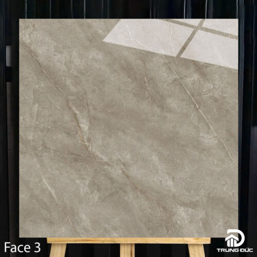 Gạch 100x100cm Catalan 10017 face 3