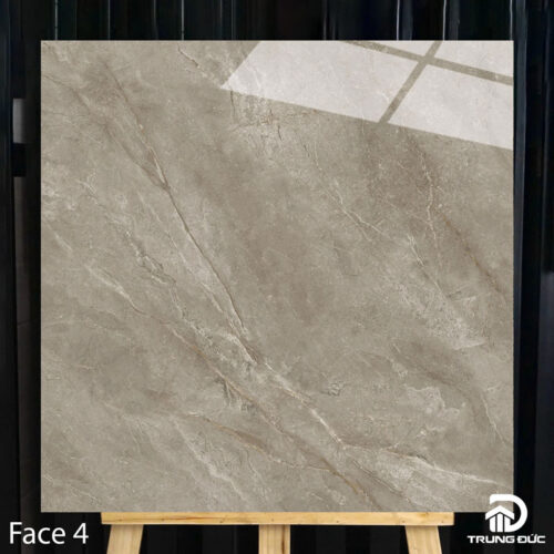 Gạch 100x100cm Catalan 10017 face 4