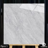 Gạch 100x100 cm Catalan 10018