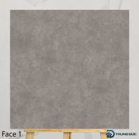 Gạch 100x100 cm Catalan 10082 màu xám đậm