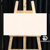 Gạch 30x60cm Viglacera CL367