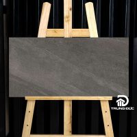 Gạch 30x60 Viglacera NY10GM3603 granite porcelain men matt