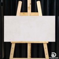 Gạch 30x60 Viglacera NY11GM3601 granite porcelain men matt