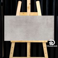 Gạch 30x60 Viglacera NY11GM3602 granite porcelain men matt