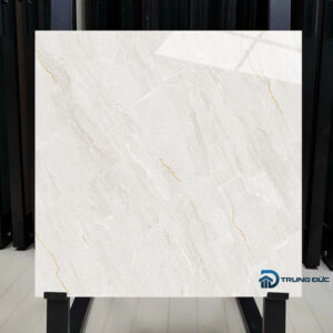 Gạch 60x60 Catalan 60082 porcelain màu ghi men bóng