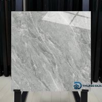 Gạch 60x60 Catalan 65020 porcelain màu ghi men bóng