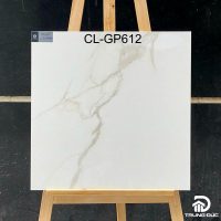 Gạch 60x60 cm