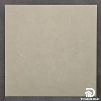 Gạch 60x60 Viglacera NY4 GM6603 granite chống trượt