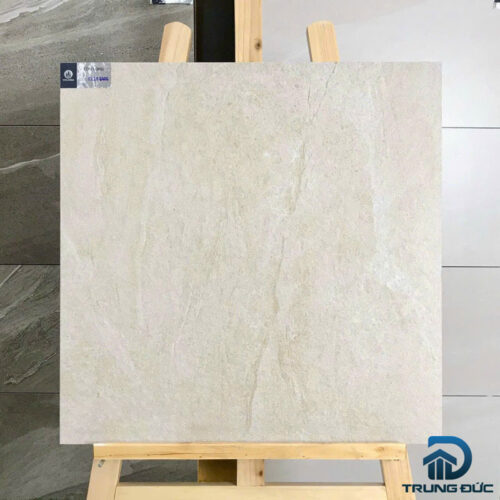 Gạch 60x60 Viglacera CL20-6601