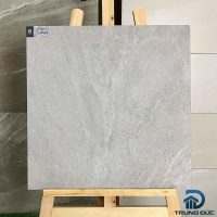 Gạch 60x60 Viglacera CL20-6602