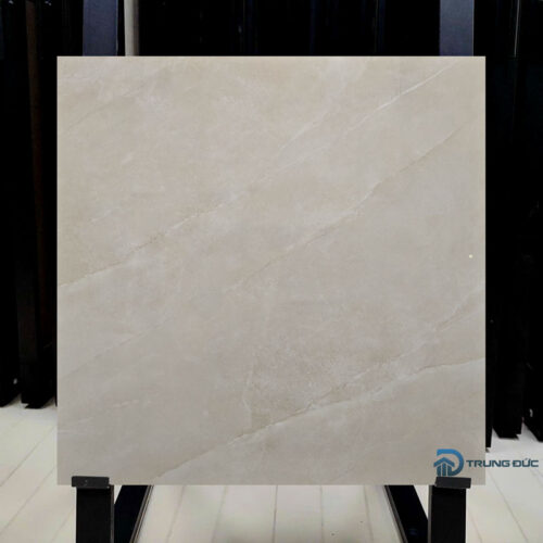 Gạch 60x60 Viglacera NY1-GP6604 granite men bóng