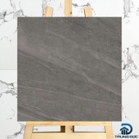 Gạch 60x60 Viglacera NY10 GM6603 granite men khô