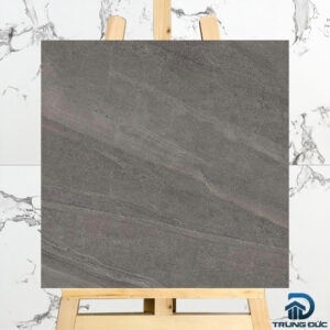 Gạch 60x60 Viglacera NY10 GM6603 granite men khô