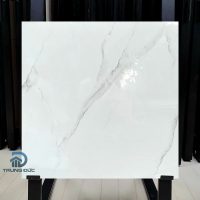 Gạch 60x60 Viglacera NY14-GP6601 granite trắng khói