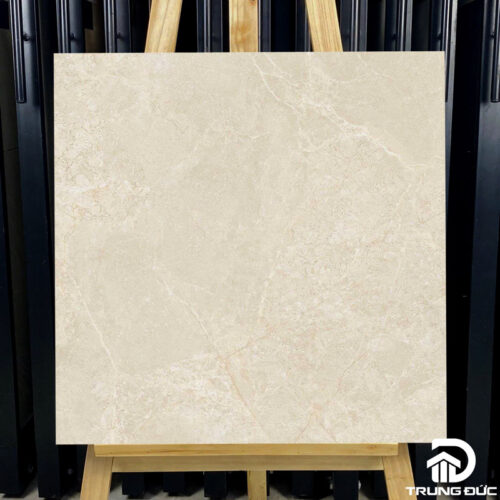 Gạch 60x60 Viglacera NY16 GP6602 granite men bóng