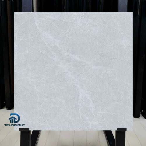 Gạch 60x60 Viglacera NY4 GM6601 granite men matt