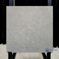 Gạch 60x60 Viglacera NY4-GP6601 granite men bóng