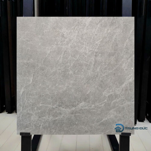 Gạch 60x60 Viglacera NY4-GP6602 granite men bóng