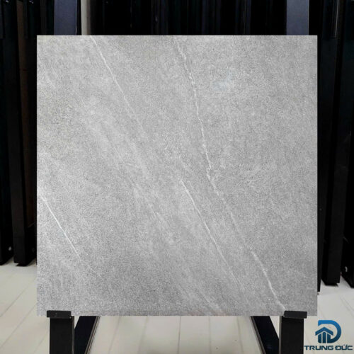 Gạch 60x60 Viglacera NY7 GM6601 granite men matt