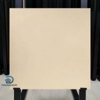 Gạch 60x60 Viglacera NYD6602 granite hai da