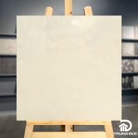 Gạch 60x60 Viglacera NYD6635