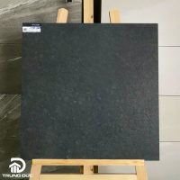 Gạch 60x60 Viglacera PT20-G6604