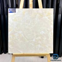 Gạch 60x60 Viglacera TB601