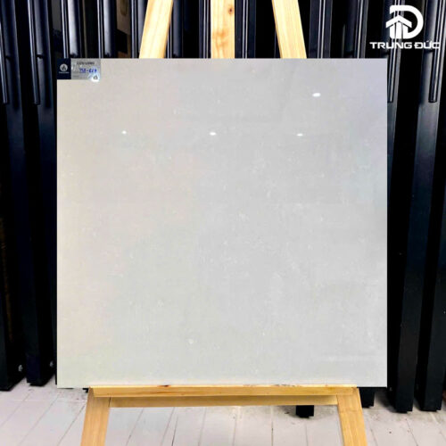 Gạch 60x60 Viglacera TS1-617 granite hai da