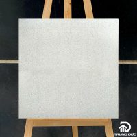 Gạch 60x60 granite Viglacera TSMT603