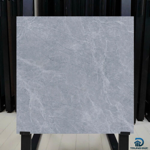 Gạch 60x60 Viglacera NY4 GM6602 granite men matt