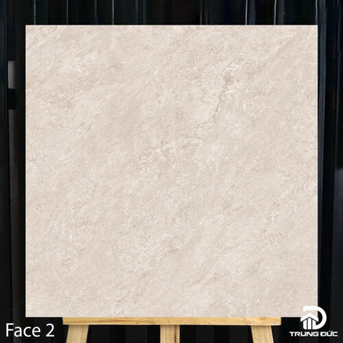 gạch 80x80 catalan 80033 face 2