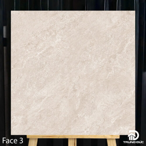 gạch 80x80 catalan 80033 face 3