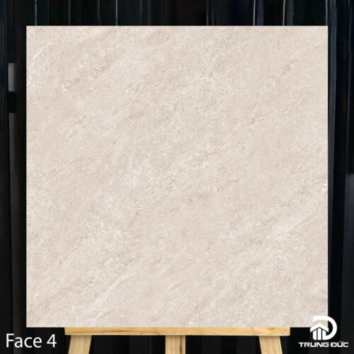 gạch 80x80 catalan 80033 face 4