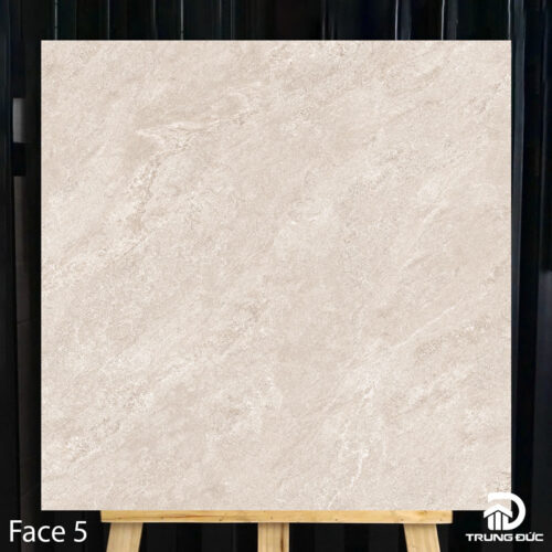 gạch 80x80 catalan 80033 face 5