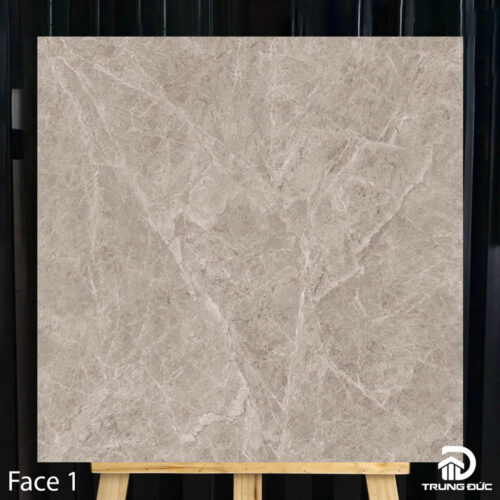 Gạch 80x80 Catalan 80035 porcelain 6 face màu xám men matt