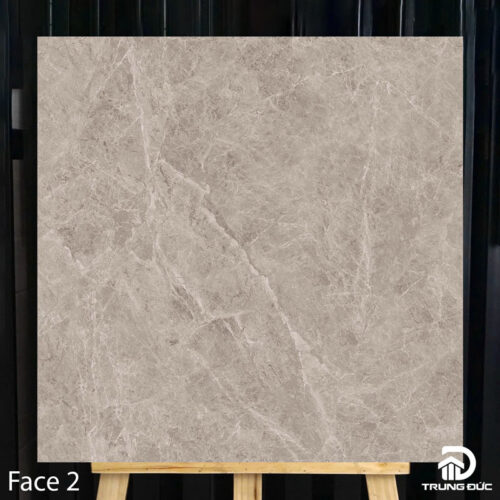 Gạch 80x80 Catalan 80035 face 2
