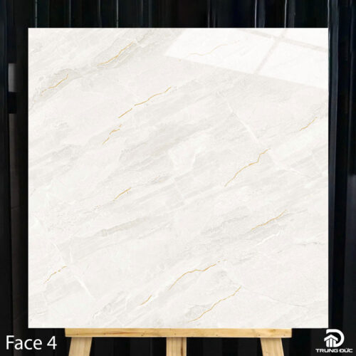Gạch Catalan 80102 face 4