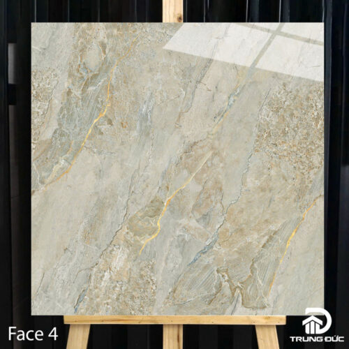 Gạch Catalan 80103 face 4