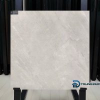 Gạch 80x80 Viglacera CL8-GM8801 granite men matt