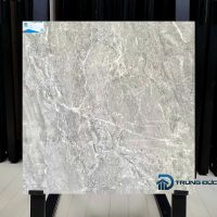 Gạch 80x80 Viglacera CLGP809 granite men bóng