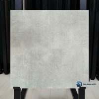 Gạch 80x80 Viglacera NY11 GM8802 màu xi măng