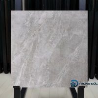 Gạch 80x80 Viglacera NY3 GP8801 men bóng